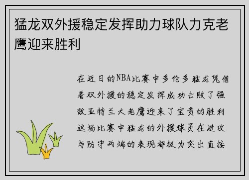猛龙双外援稳定发挥助力球队力克老鹰迎来胜利